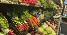 grocery-software