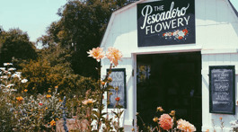 lawn garden center