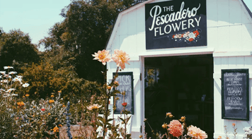 lawn garden center