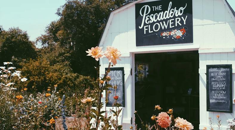 lawn garden center