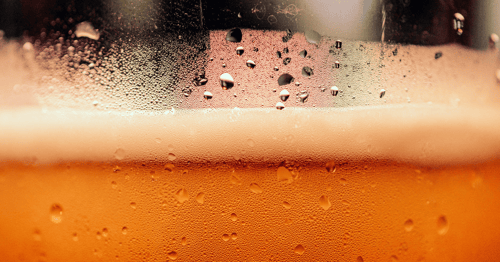 How To Open a Beer Store: 8 Steps
