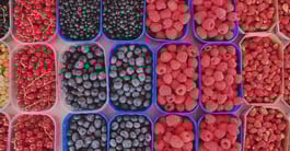 grocery store inventory tracking